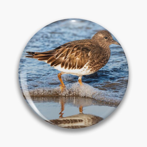 Item preview, Shorebird Reflected designed and sold by DawsonImages.