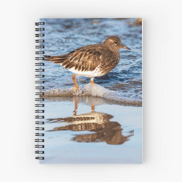 Item preview, Shorebird Reflected designed and sold by DawsonImages.