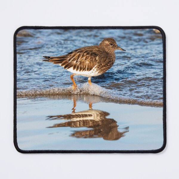 Item preview, Shorebird Reflected designed and sold by DawsonImages.