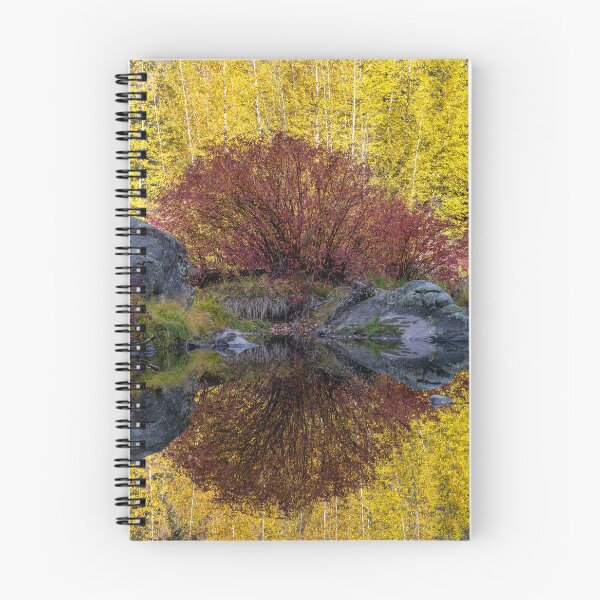 Item preview, Mirrored Gold designed and sold by DawsonImages.