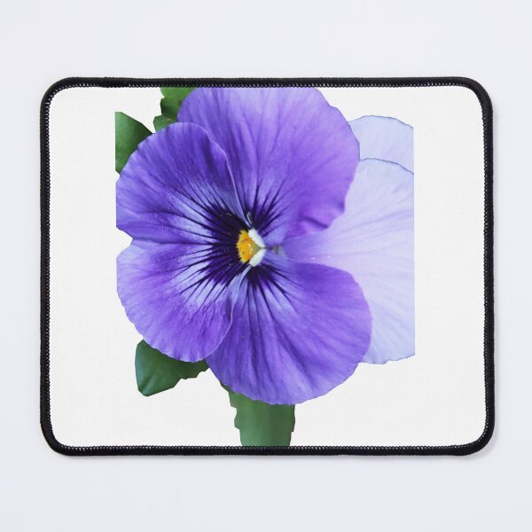 Item preview, blue viola floral design designed and sold by introvertarts.