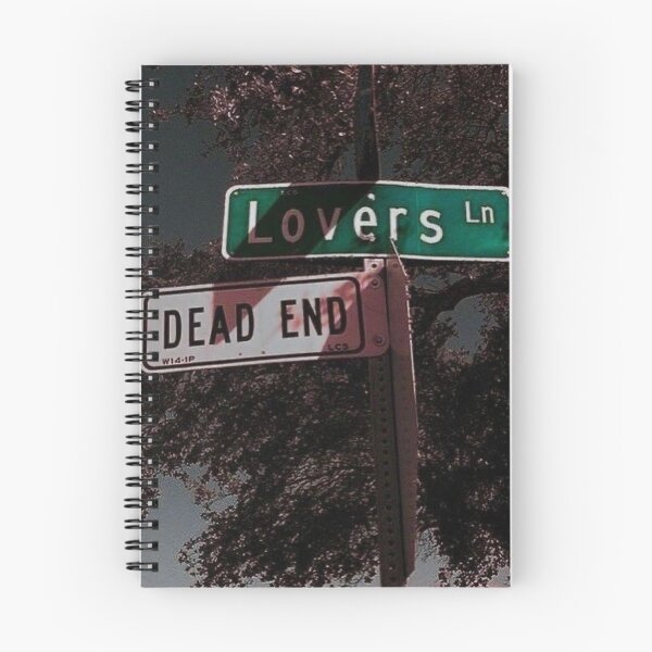 Item preview, Lovers Lane Dead End Eerie Street Signs Gift designed and sold by trixie666.