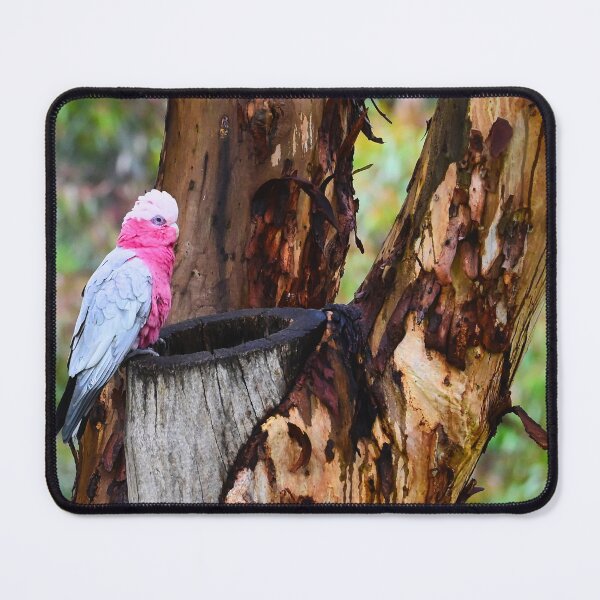 Item preview, A splash of pink in the bush designed and sold by wendyhattonphotography.