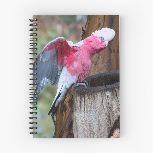 Item preview, Ready to Fly designed and sold by wendyhattonphotography.