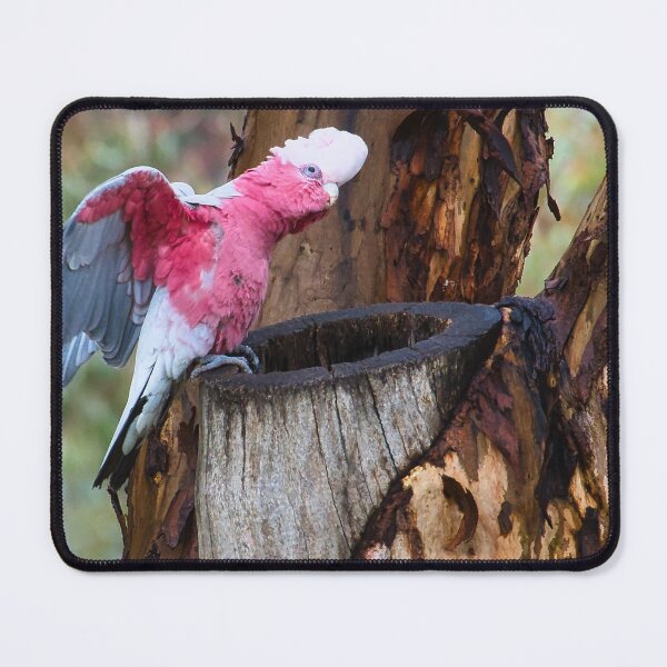 Item preview, Ready to Fly designed and sold by wendyhattonphotography.