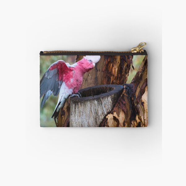 Item preview, Ready to Fly designed and sold by wendyhattonphotography.
