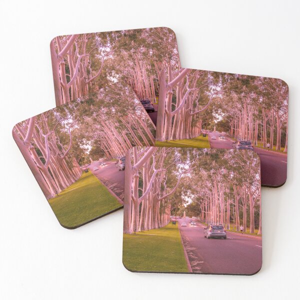 Item preview, Fraser Avenue Kings Park Sunset – Fine Art Canvas Print designed and sold by MinzMarchStudio.