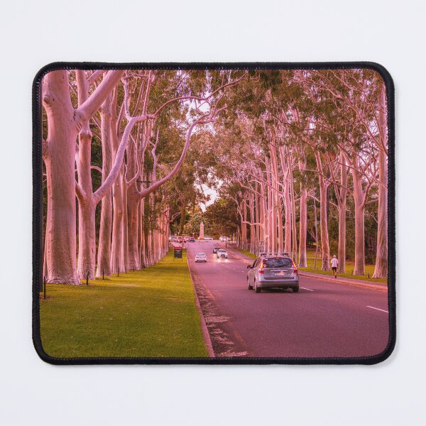 Item preview, Fraser Avenue Kings Park Sunset – Fine Art Canvas Print designed and sold by MinzMarchStudio.