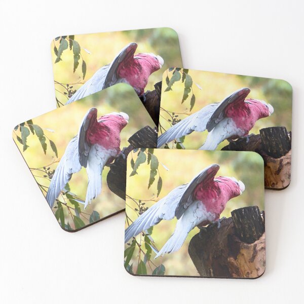 Item preview, Wings of Light designed and sold by wendyhattonphotography.