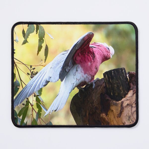 Item preview, Wings of Light designed and sold by wendyhattonphotography.