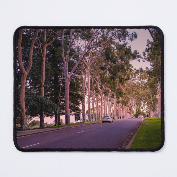 Item preview, Fraser Avenue Twilight Kings Park – Fine Art Canvas Print designed and sold by MinzMarchStudio.