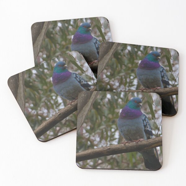 Item preview, Iridescent pigeon, perched among the gums designed and sold by wendyhattonphotography.
