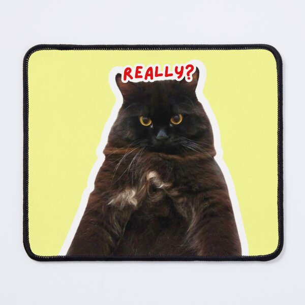 Item preview, The Serious Black Cat 2 PNG designed and sold by Xuemisi.