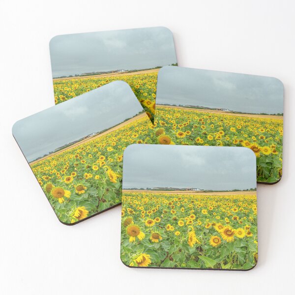 Item preview, Sunflower field designed and sold by Andrew Fletcher Photography.