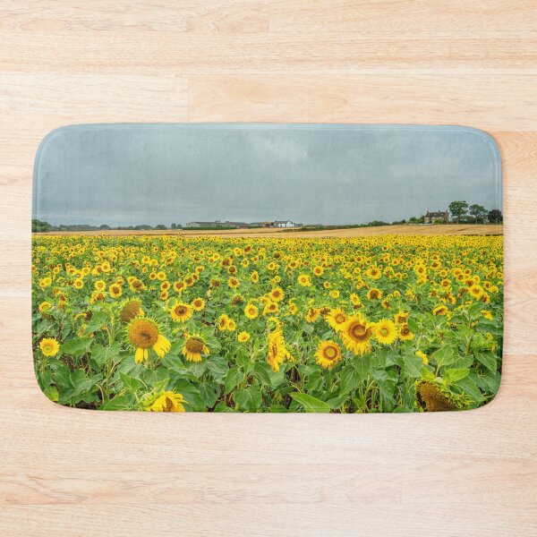 Item preview, Sunflower field designed and sold by Andrew Fletcher Photography.
