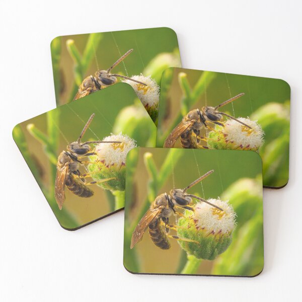 Item preview, Sweat Bee Suspended  designed and sold by Ralph Goldsmith.