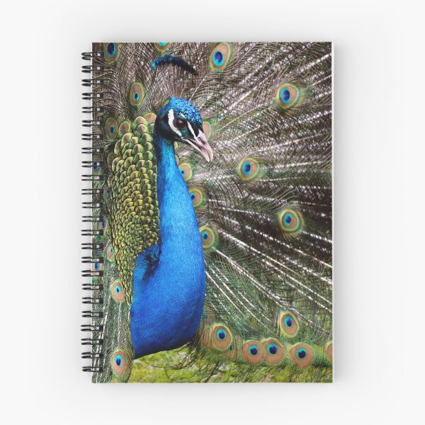Item preview, Majestic Peacock Feathers Display Colorful Wildlife Photography designed and sold by leonwoods.