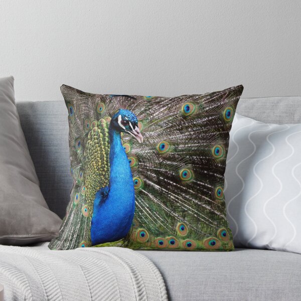 Item preview, Majestic Peacock Feathers Display Colorful Wildlife Photography designed and sold by leonwoods.