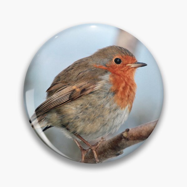 Item preview, European Robin Perched Tree Branch Wildlife Nature Photography designed and sold by leonwoods.