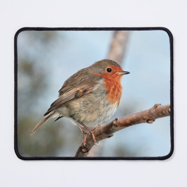 Item preview, European Robin Perched Tree Branch Wildlife Nature Photography designed and sold by leonwoods.