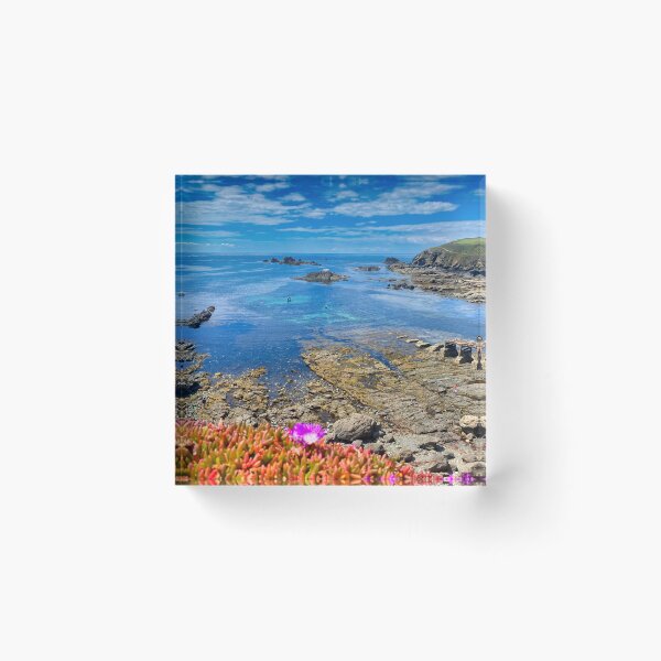 Item preview, Lizard Point Cornwall Coastal Landscape Wildflowers Photography designed and sold by leonwoods.