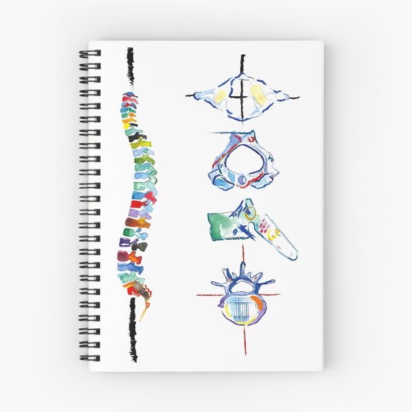 Item preview, Watercolor Spine Anatomy Scoliosis Nurse Doctor Gift Art designed and sold by MagicatcoArt.