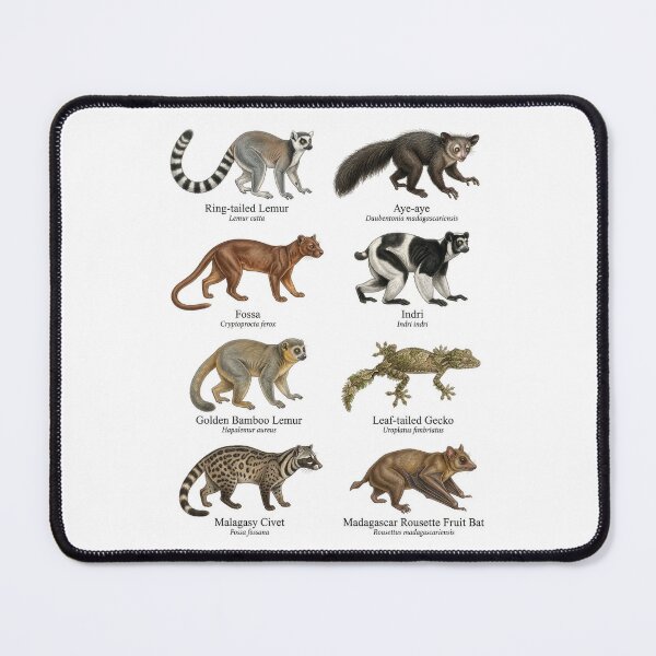 Item preview, Species Found Only in Madagascar designed and sold by ArunDandiboina.