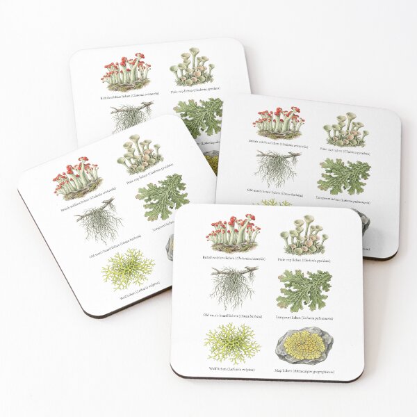 Item preview, Lichen and Moss designed and sold by ArunDandiboina.