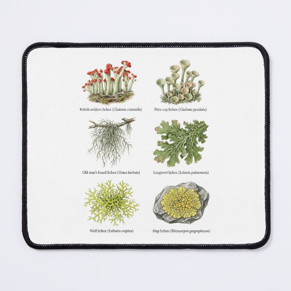 Item preview, Lichen and Moss designed and sold by ArunDandiboina.