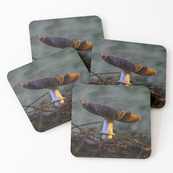 Item preview, Forest Floor Mushroom designed and sold by Twisted Light Images.