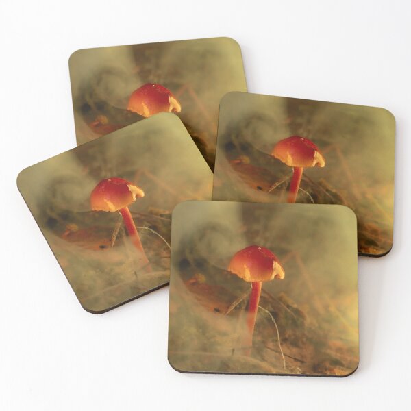 Item preview, Ember Toadstool in the Undergrowth designed and sold by Twisted Light Images.