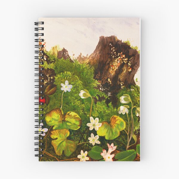 Item preview, Wild Flowers No. 2 by Ellen Robbins (1878) designed and sold by Vernissage-dart.
