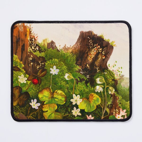 Item preview, Wild Flowers No. 2 by Ellen Robbins (1878) designed and sold by Vernissage-dart.