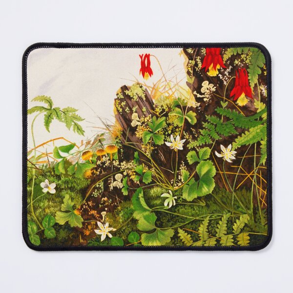 Item preview, Wild Flowers No. 1 – by Ellen Robbins (1878) designed and sold by Vernissage-dart.
