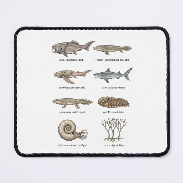 Item preview, Devonian period species designed and sold by ArunDandiboina.