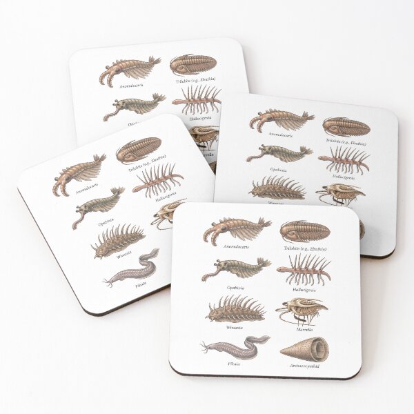 Item preview, Cambrian Period Creatures designed and sold by ArunDandiboina.