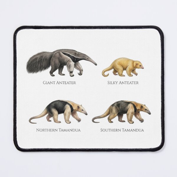 Item preview, Four anteater species designed and sold by ArunDandiboina.