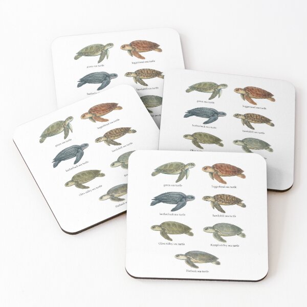 Item preview, Vintage Style Sea Turtle Species designed and sold by ArunDandiboina.