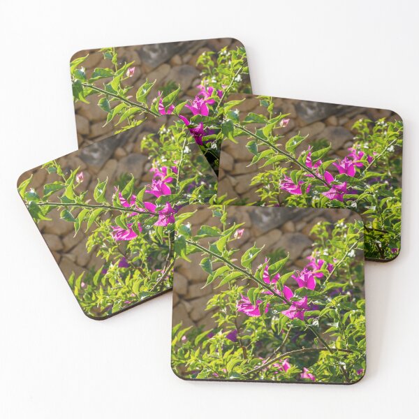 Item preview, Sunlit Pink Bougainvillea Blossoms Against Rustic Stone Wall With Lush Green Leaves Outdoor Garden Branches designed and sold by Nmallia.