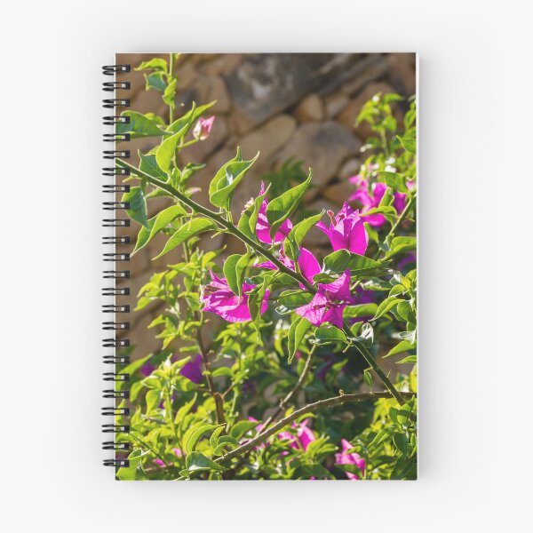 Item preview, Sunlit Pink Bougainvillea Blossoms Against Rustic Stone Wall With Lush Green Leaves Outdoor Garden Branches designed and sold by Nmallia.