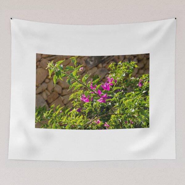 Item preview, Sunlit Pink Bougainvillea Blossoms Against Rustic Stone Wall With Lush Green Leaves Outdoor Garden Branches designed and sold by Nmallia.