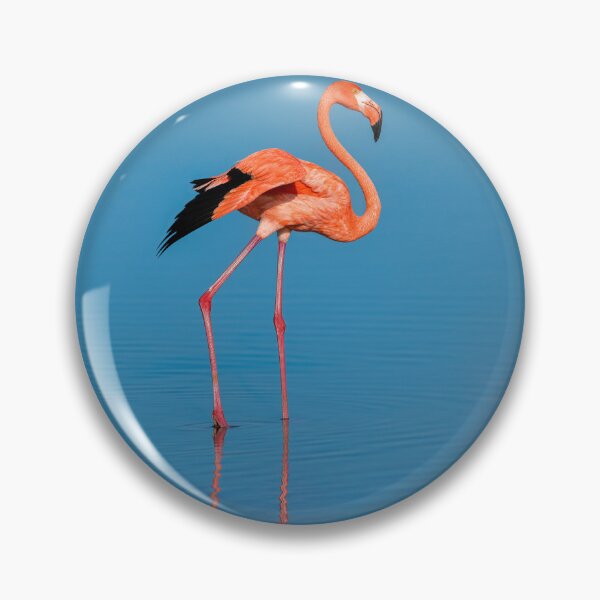 Item preview,  Flamingo designed and sold by BubaArt.