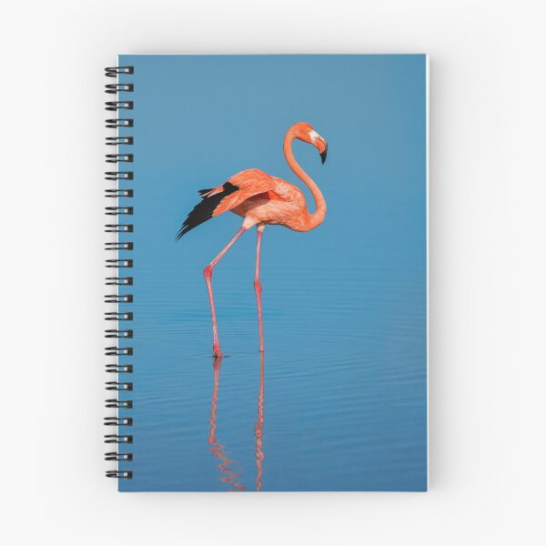 Item preview,  Flamingo designed and sold by BubaArt.