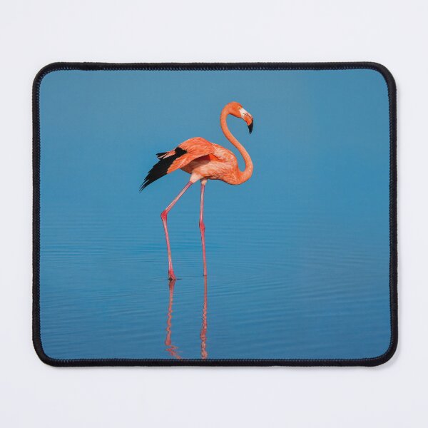Item preview,  Flamingo designed and sold by BubaArt.