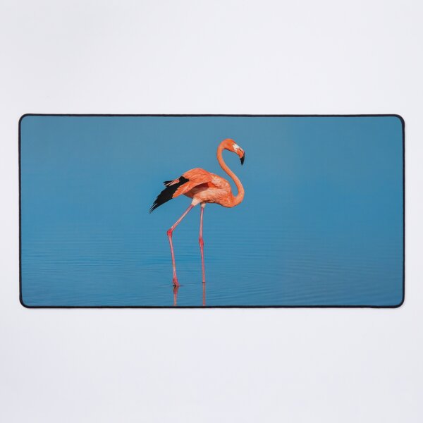 Item preview, Flamingo designed and sold by BubaArt.