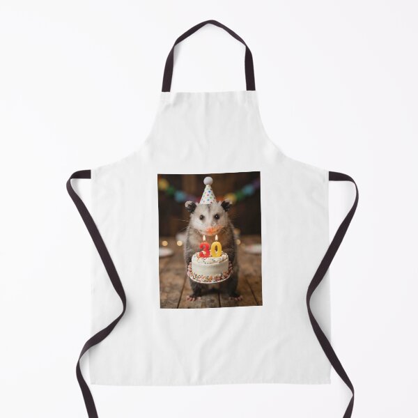 Item preview, Opossum 30th birthday cute adorable cake party baby kawaii designed and sold by CheeseBlueprint.