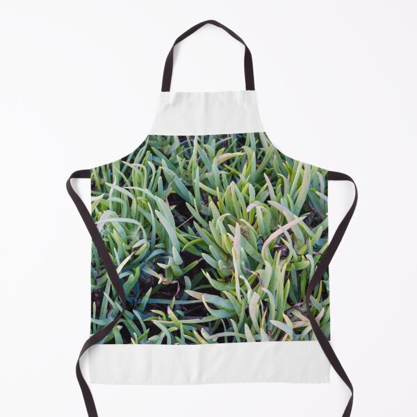 Item preview, Close-Up Of Green Succulent Ground Cover Leaves Forming Dense Foliage Pattern For Garden Background designed and sold by Nmallia.