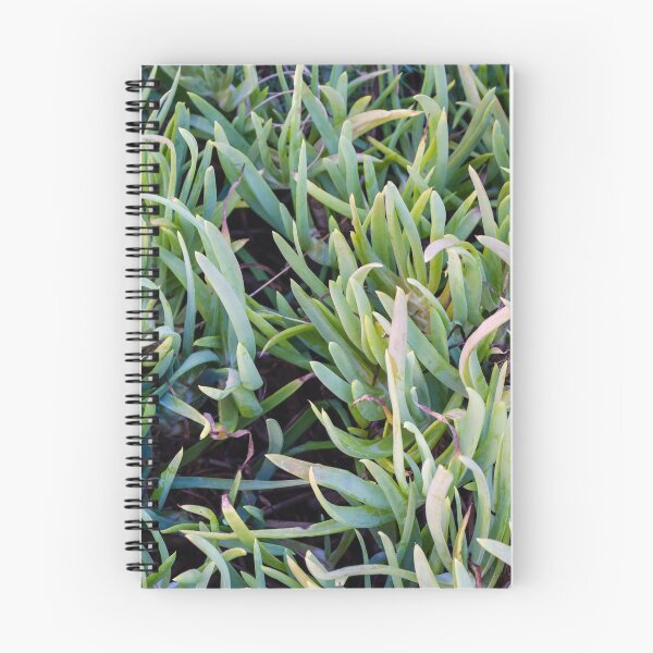 Item preview, Close-Up Of Green Succulent Ground Cover Leaves Forming Dense Foliage Pattern For Garden Background designed and sold by Nmallia.