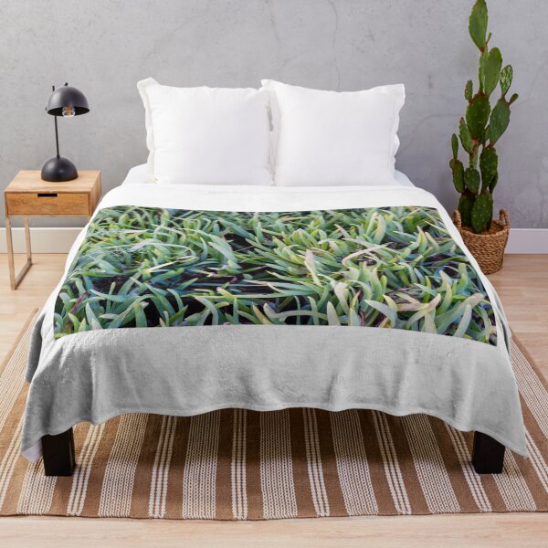 Item preview, Close-Up Of Green Succulent Ground Cover Leaves Forming Dense Foliage Pattern For Garden Background designed and sold by Nmallia.