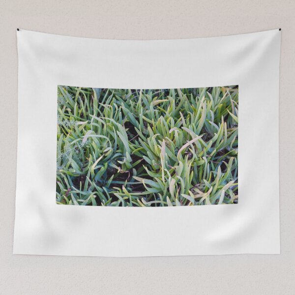 Item preview, Close-Up Of Green Succulent Ground Cover Leaves Forming Dense Foliage Pattern For Garden Background designed and sold by Nmallia.